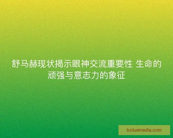 舒马赫现状揭示眼神交流重要性 生命的顽强与意志力的象征