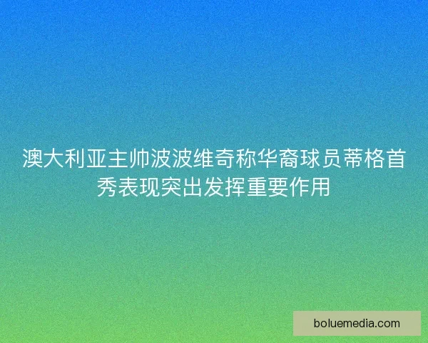 澳大利亚主帅波波维奇称华裔球员蒂格首秀表现突出发挥重要作用