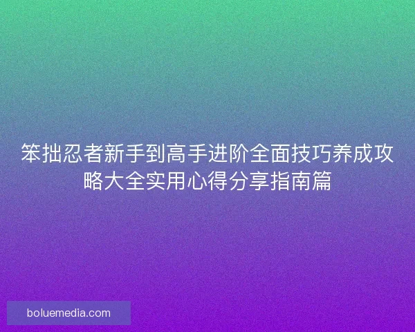 笨拙忍者新手到高手进阶全面技巧养成攻略大全实用心得分享指南篇