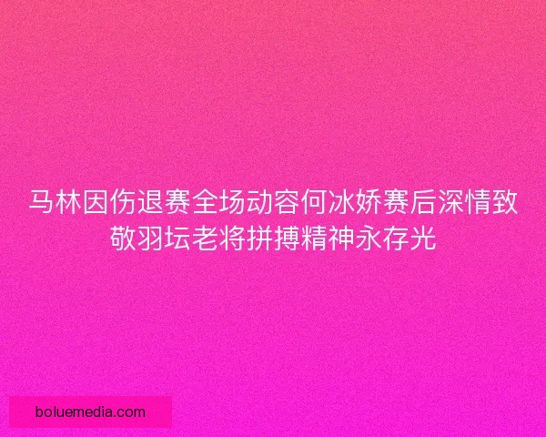 马林因伤退赛全场动容何冰娇赛后深情致敬羽坛老将拼搏精神永存光